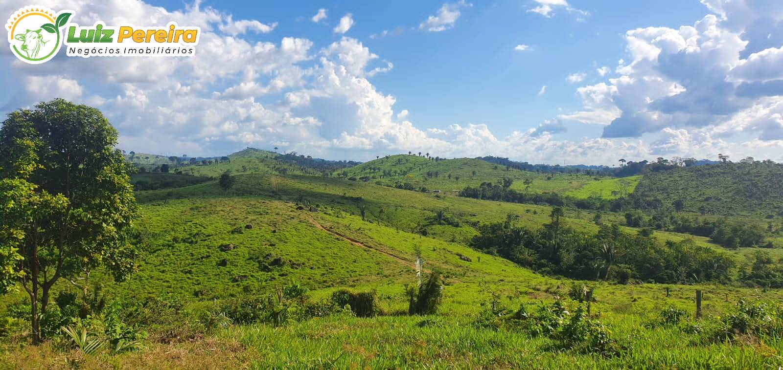 Fazenda à venda, 30250000m² - Foto 3