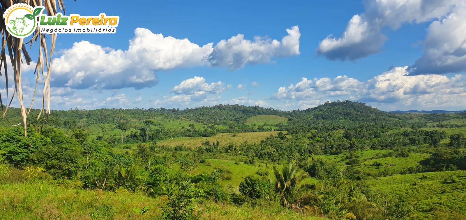 Fazenda à venda, 30250000m² - Foto 1