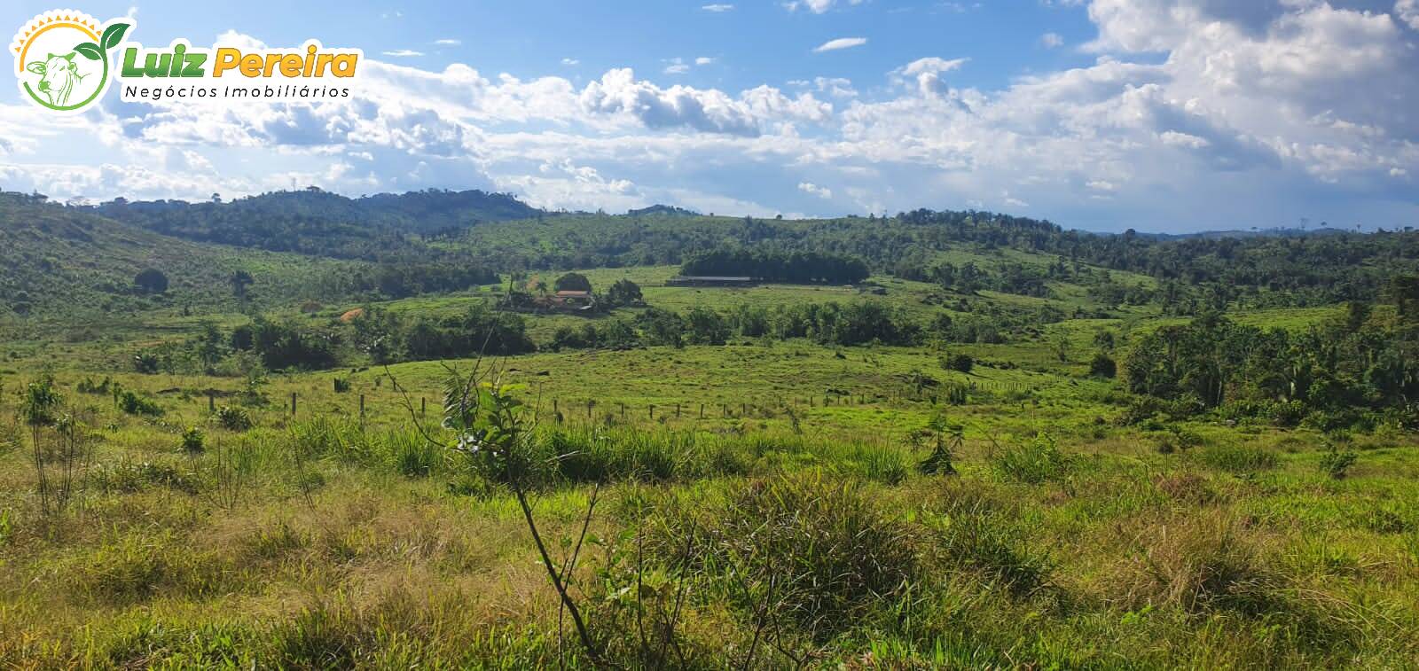 Fazenda à venda, 30250000m² - Foto 5