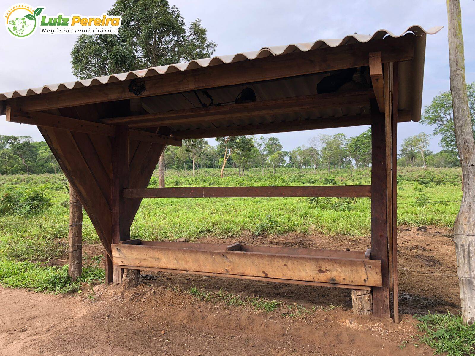 Fazenda à venda, 15000000m² - Foto 19