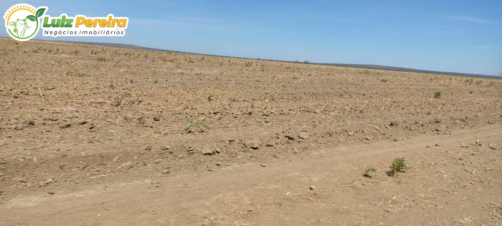 Fazenda à venda, 15000000m² - Foto 5