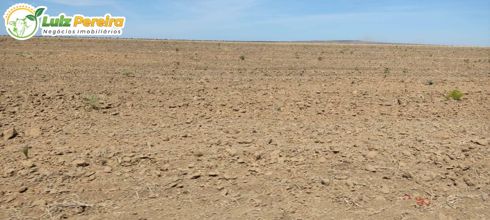 Fazenda à venda, 15000000m² - Foto 8