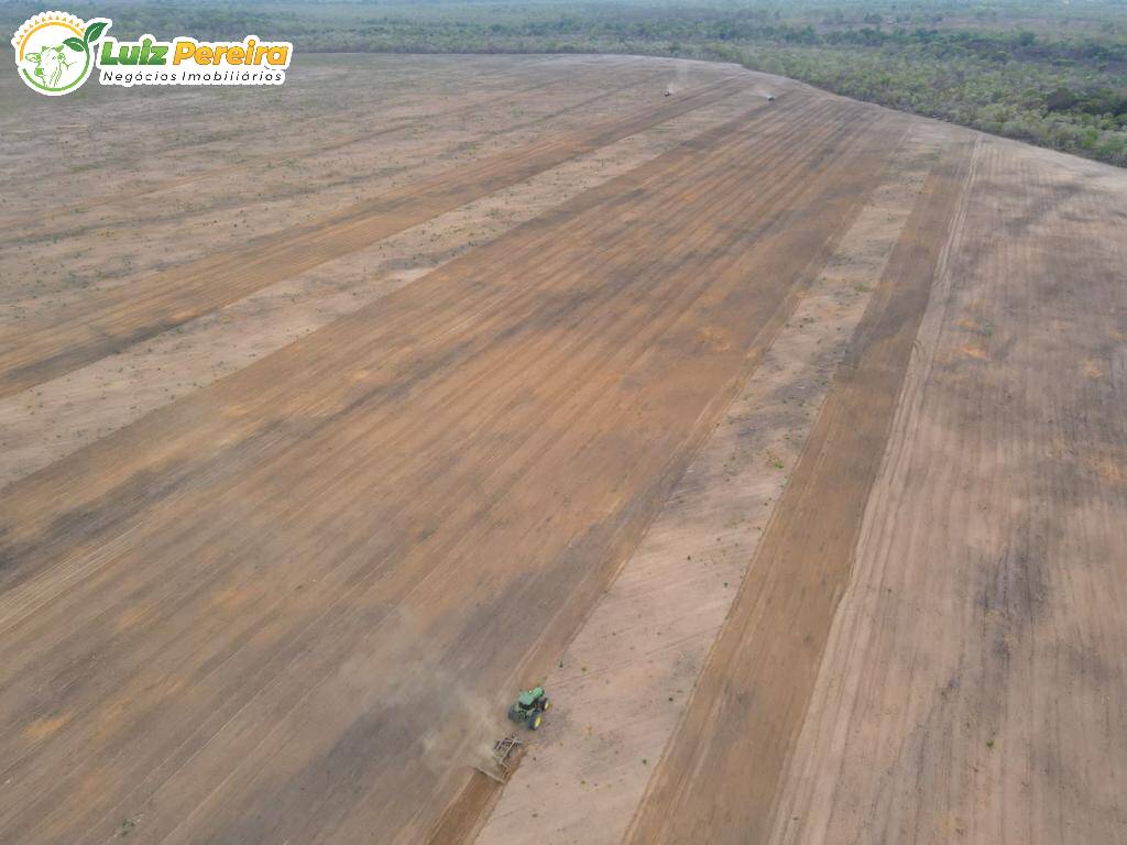 Fazenda à venda, 27000000m² - Foto 17