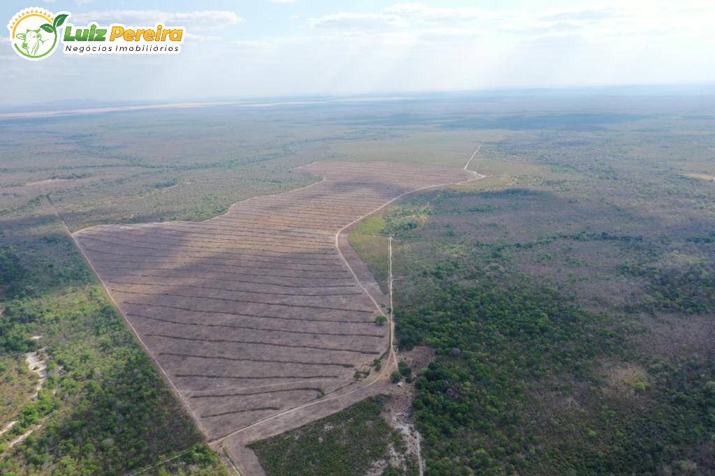 Fazenda à venda, 27000000m² - Foto 13