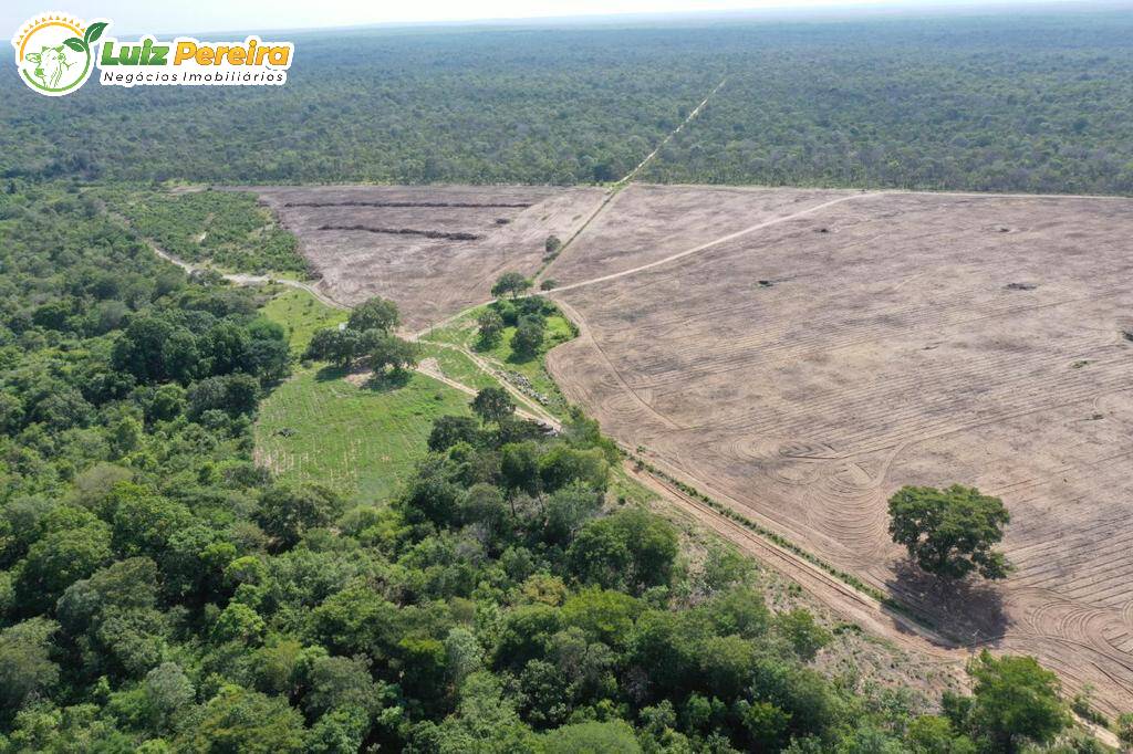 Fazenda à venda, 27000000m² - Foto 12