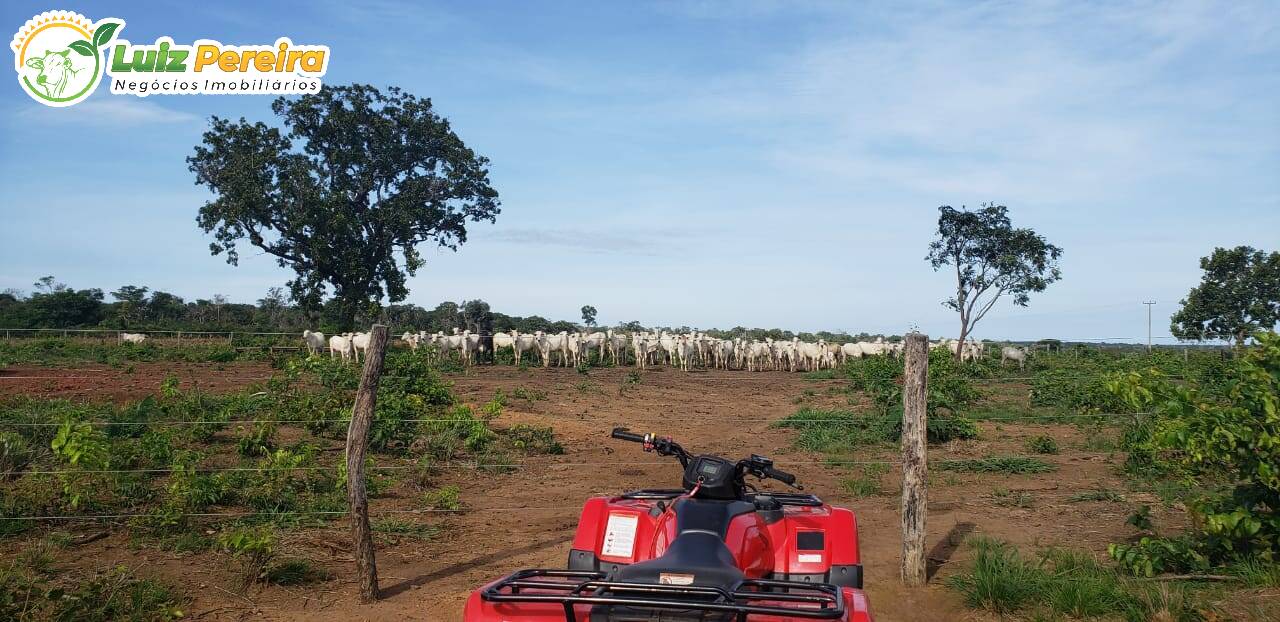 Terreno à venda, 24500000m² - Foto 11