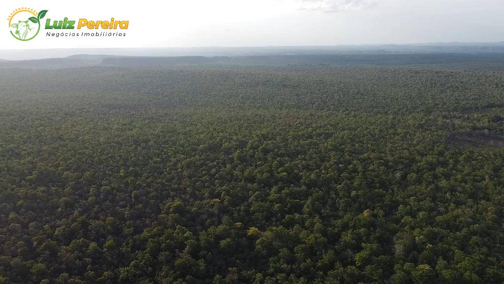 Fazenda à venda, 77680000m² - Foto 5