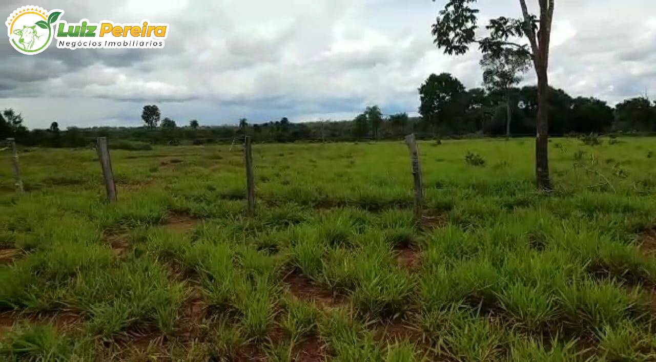 Fazenda à venda, 10650000m² - Foto 2