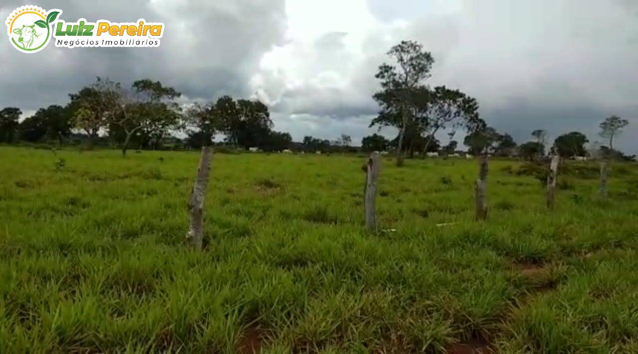 Fazenda à venda, 10650000m² - Foto 1