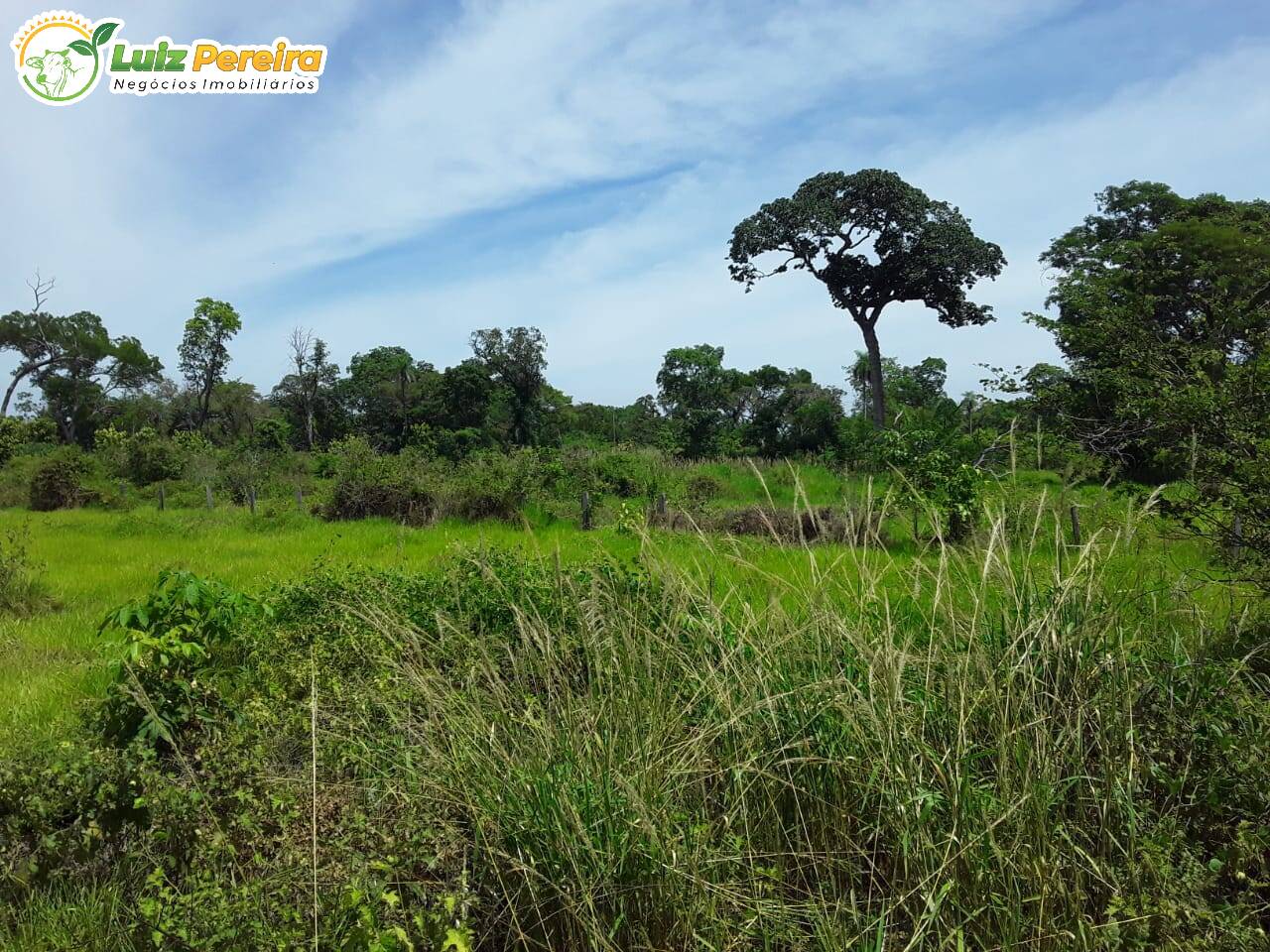 Terreno à venda, 10000000m² - Foto 6