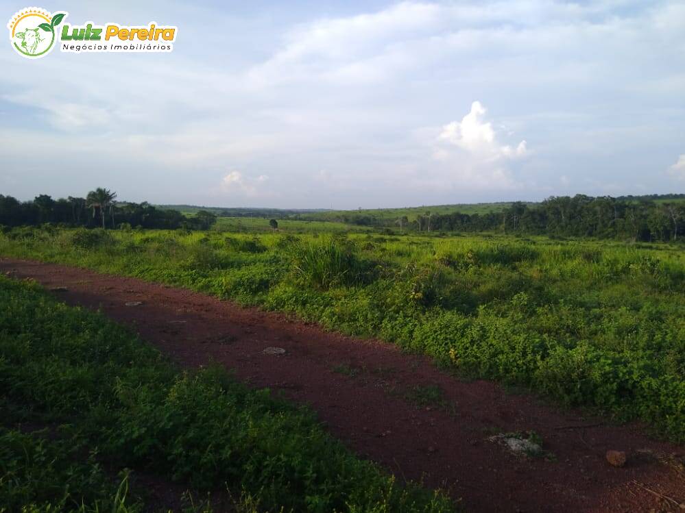 Fazenda à venda, 36300000m² - Foto 4