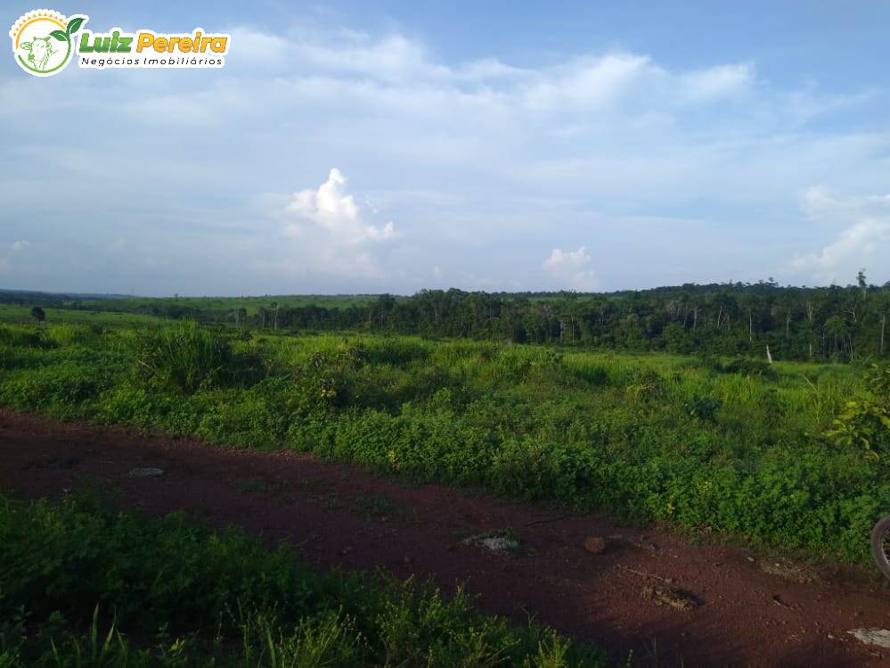 Fazenda à venda, 36300000m² - Foto 5