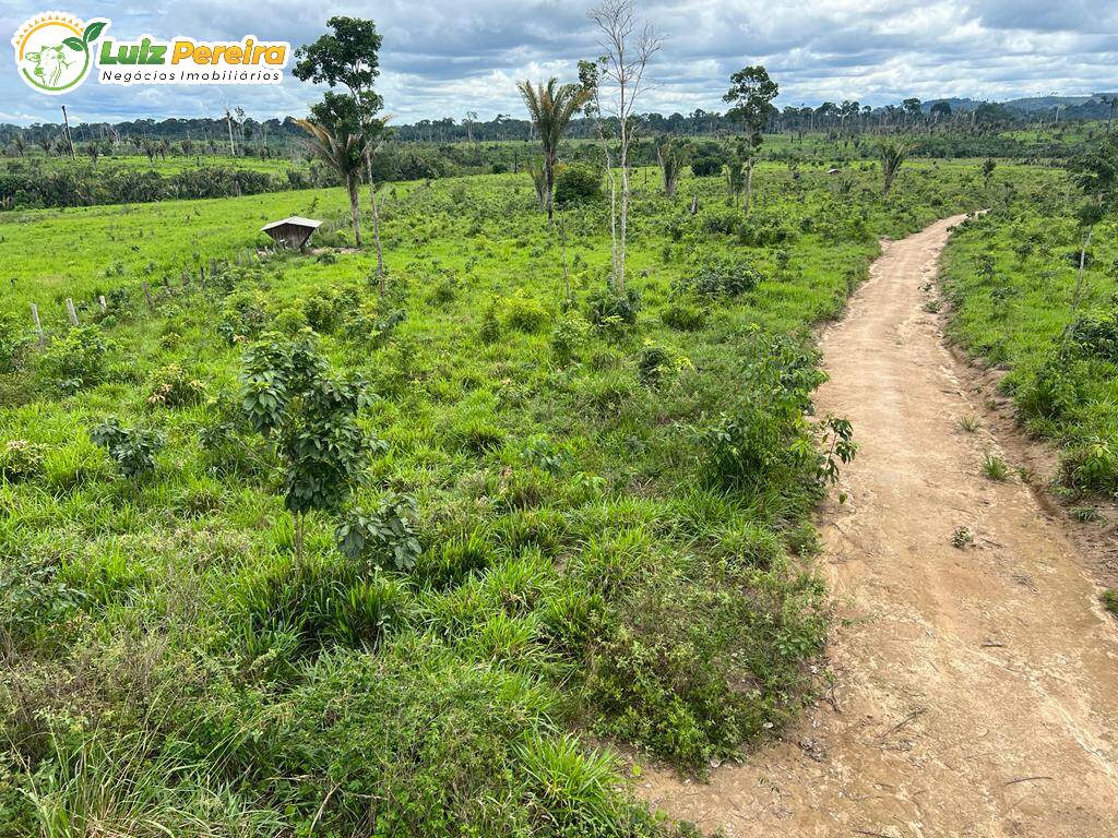 Fazenda à venda, 7260000m² - Foto 7