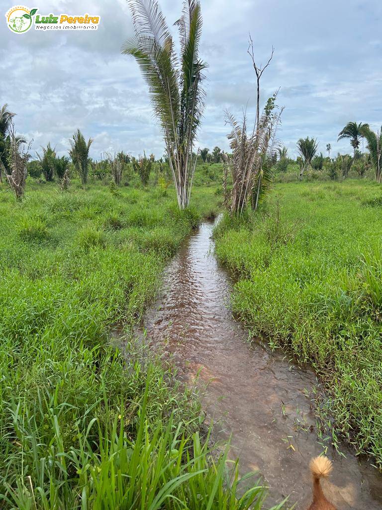 Fazenda à venda, 7260000m² - Foto 9