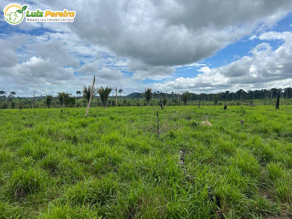 Fazenda à venda, 7260000m² - Foto 3