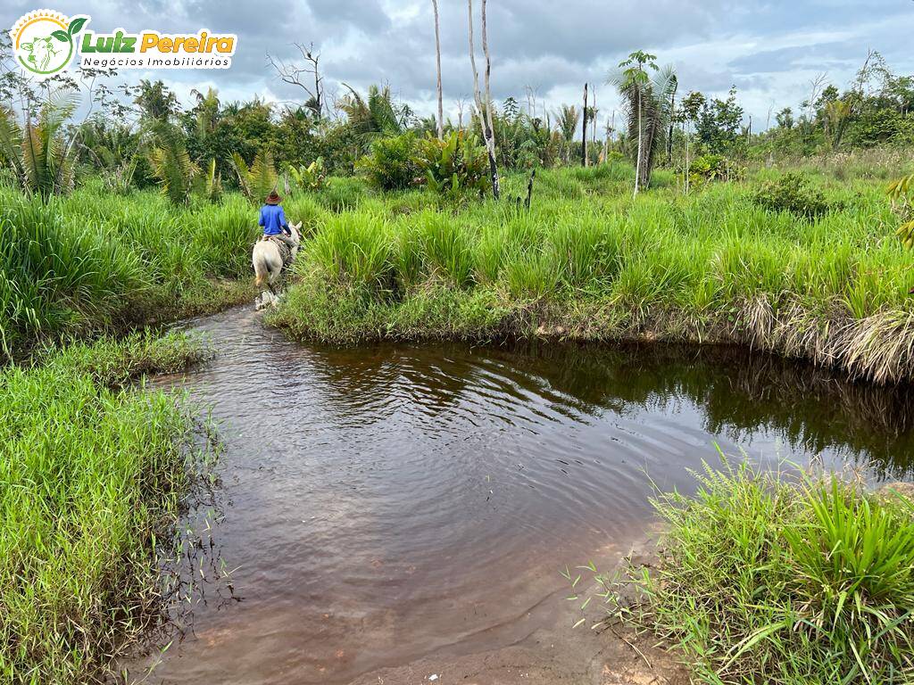 Fazenda à venda, 7260000m² - Foto 2