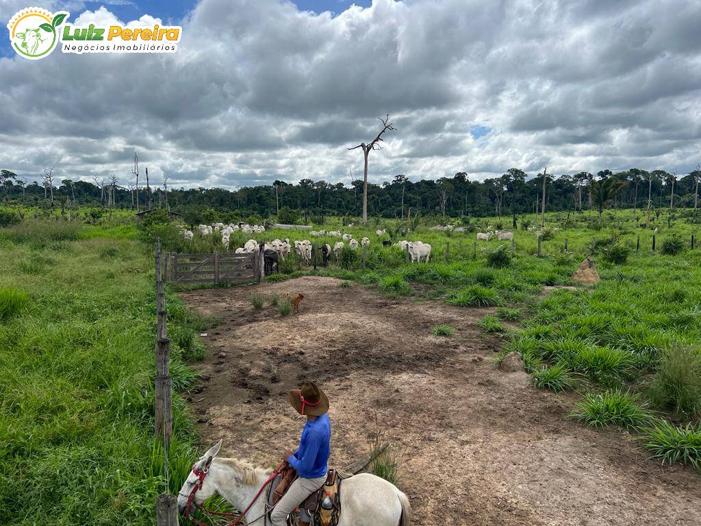 Fazenda à venda, 7260000m² - Foto 10