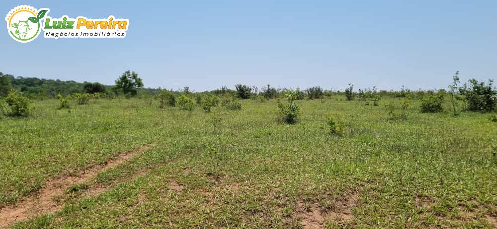 Fazenda à venda, 3600000m² - Foto 10