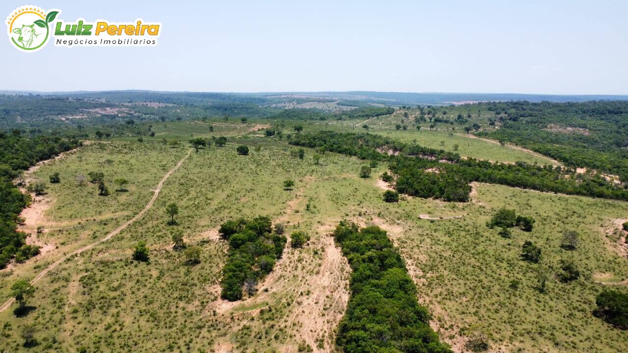 Fazenda-Sítio-Chácara, 360 hectares - Foto 3
