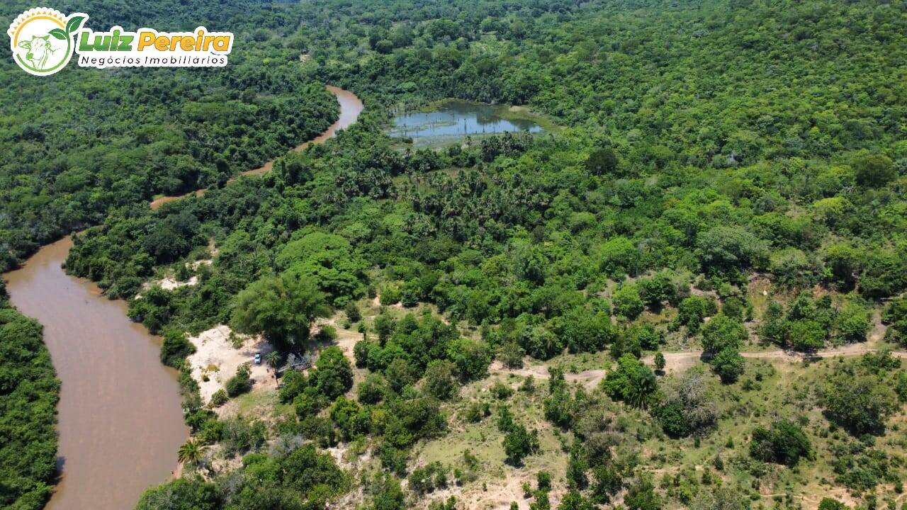 Fazenda à venda, 3600000m² - Foto 7