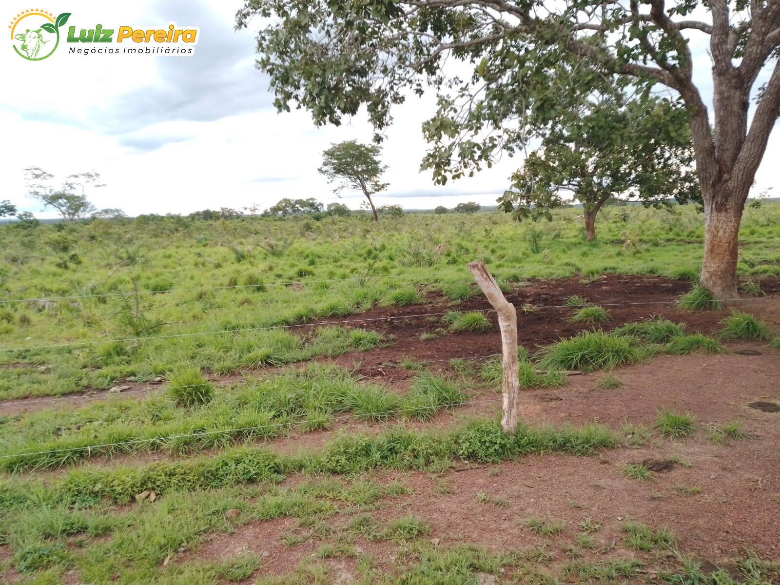 Fazenda à venda, 15488000m² - Foto 9