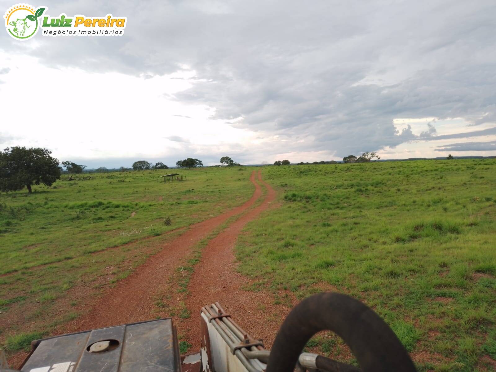 Fazenda à venda, 15488000m² - Foto 13