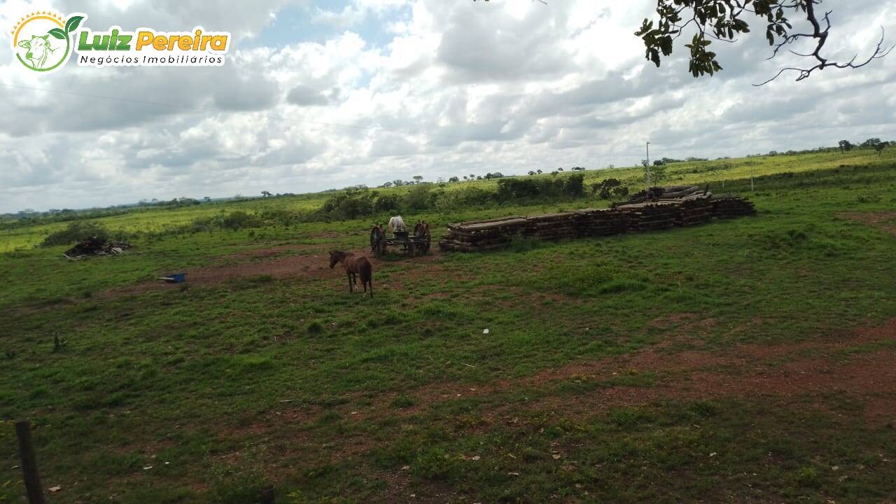 Fazenda à venda, 15488000m² - Foto 5