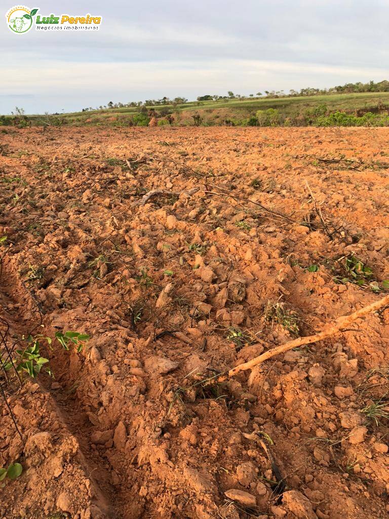 Fazenda à venda, 17811200m² - Foto 8