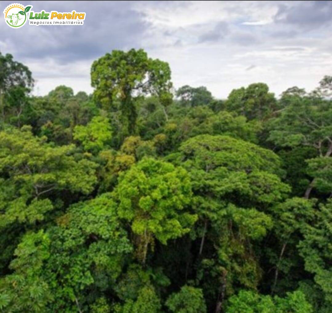 Fazenda à venda, 189948000m² - Foto 1