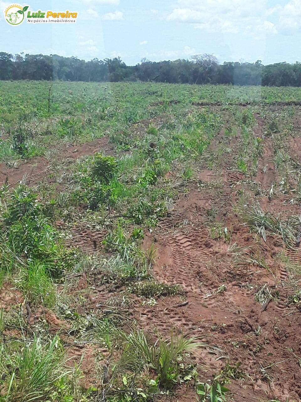 Fazenda à venda, 1882m² - Foto 5