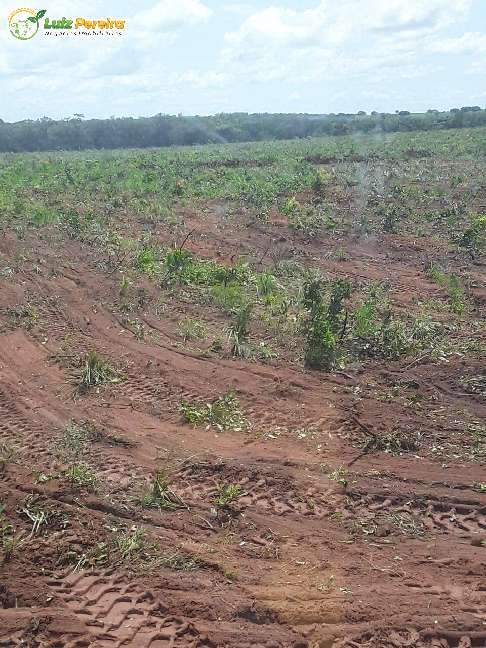 Fazenda à venda, 1882m² - Foto 6