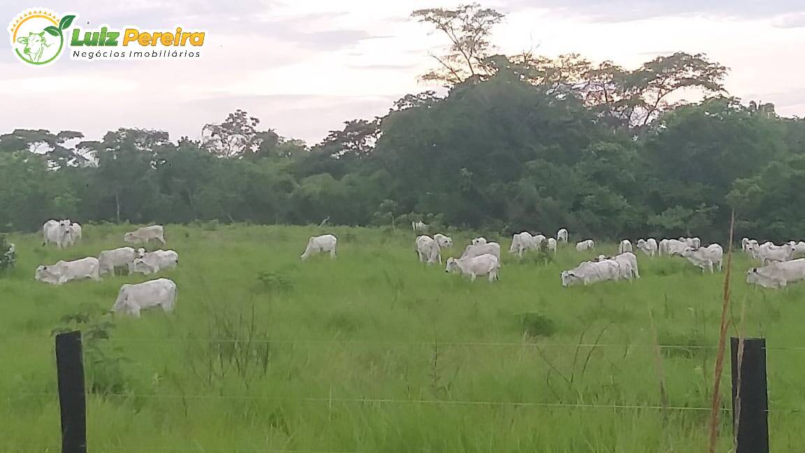 Fazenda à venda, 1882m² - Foto 2