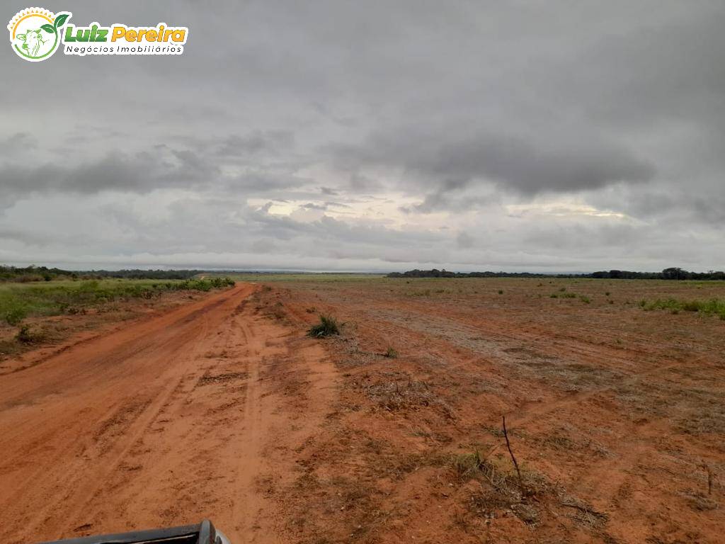 Fazenda-Sítio-Chácara, 1452 hectares - Foto 4