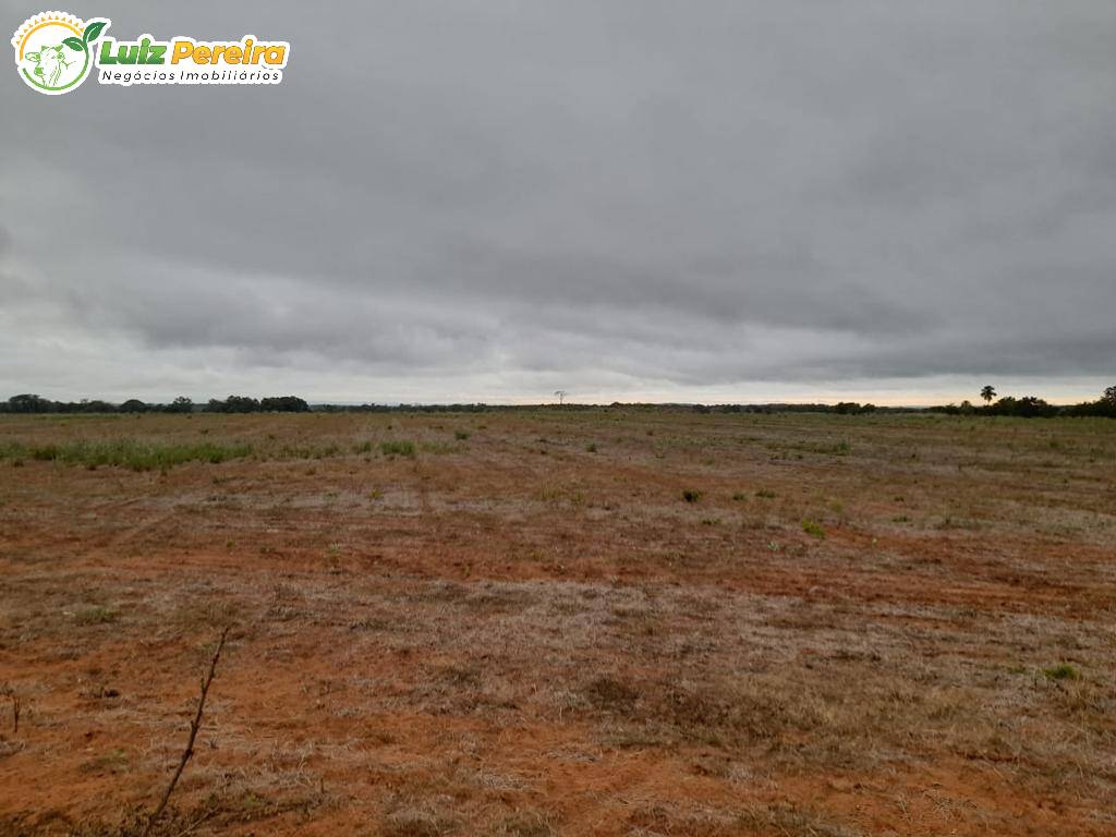 Fazenda à venda, 14520000m² - Foto 5