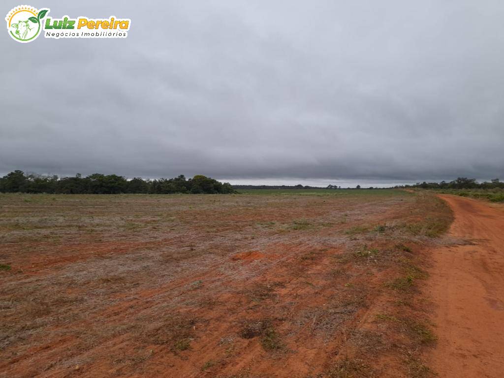 Fazenda à venda, 14520000m² - Foto 6