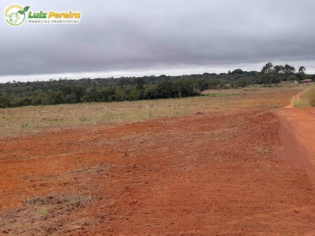 Fazenda à venda, 14520000m² - Foto 7