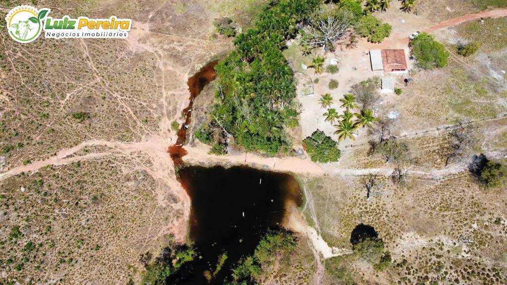 Fazenda à venda, 8910000m² - Foto 5