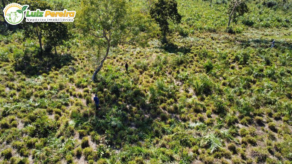 Fazenda à venda, 8910000m² - Foto 10