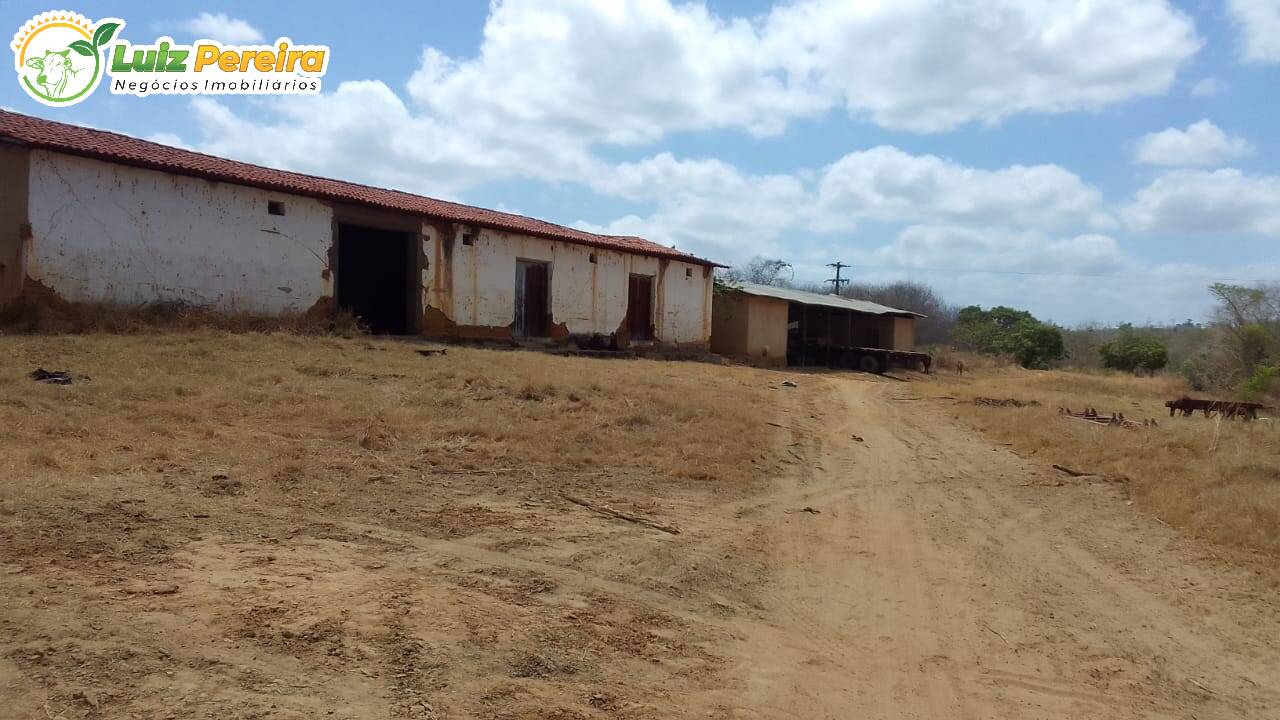 Fazenda à venda, 12000000m² - Foto 7