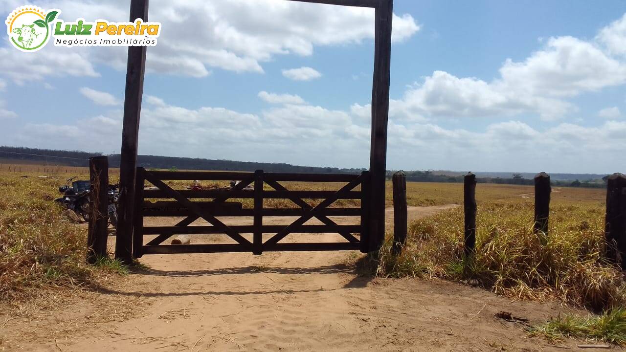 Fazenda à venda, 12000000m² - Foto 8