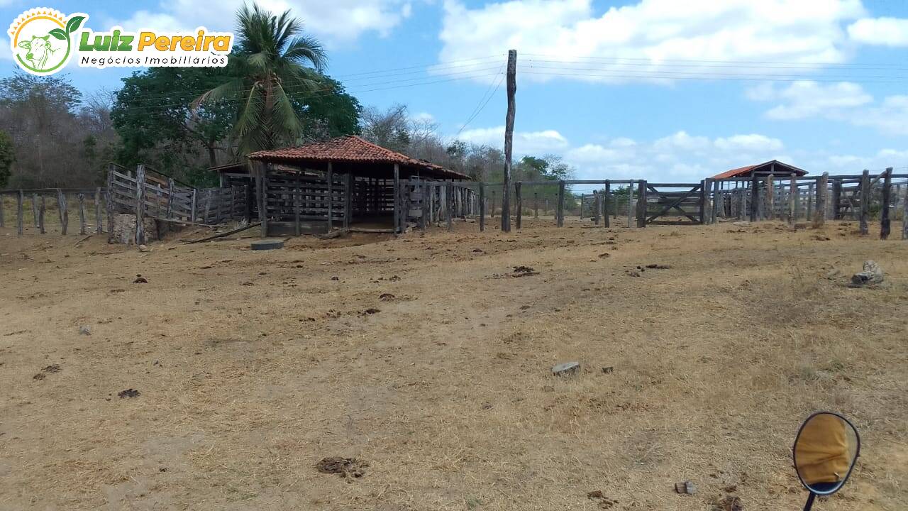 Fazenda à venda, 12000000m² - Foto 11