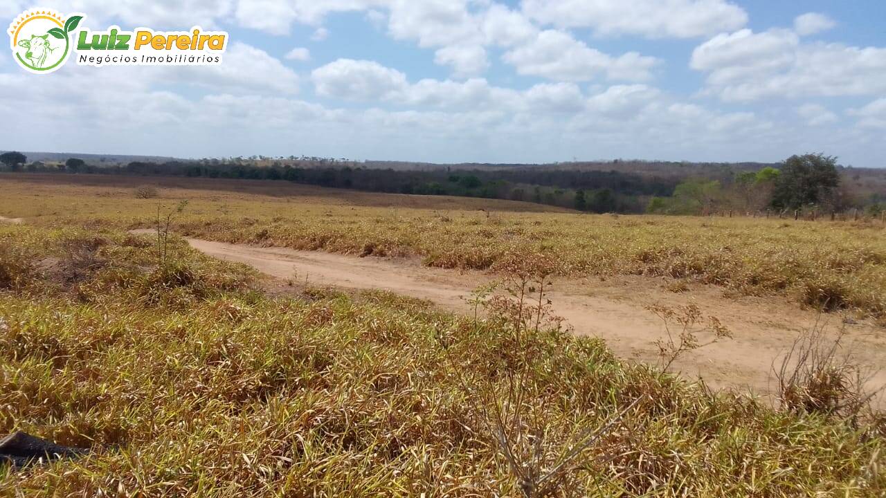 Fazenda-Sítio-Chácara, 1200 hectares - Foto 1