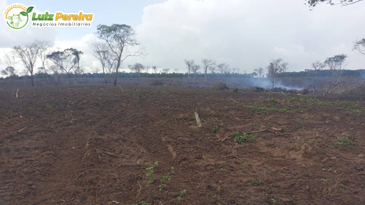 Fazenda à venda, 12000000m² - Foto 12