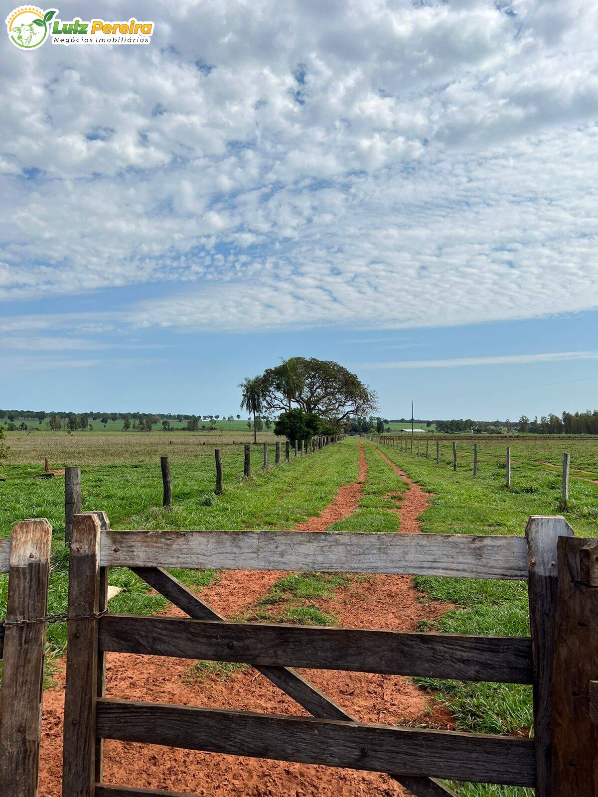 Fazenda à venda, 4880000m² - Foto 21