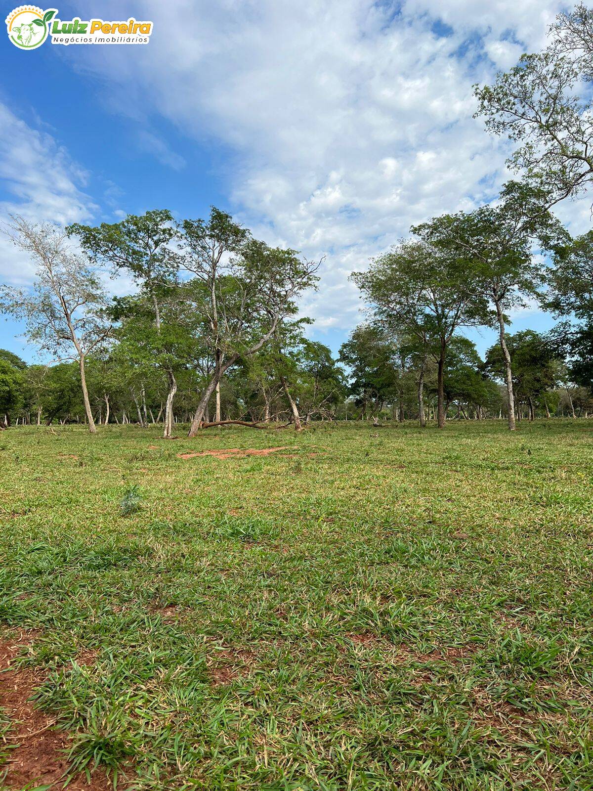 Fazenda à venda, 4880000m² - Foto 2