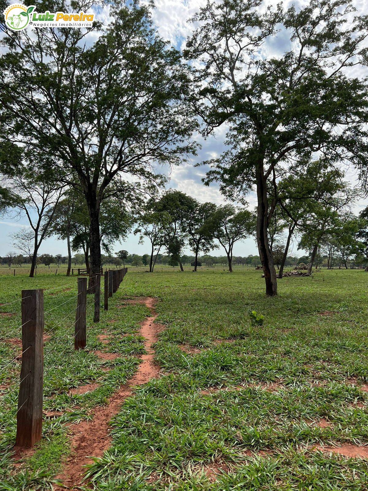 Fazenda à venda, 4880000m² - Foto 9