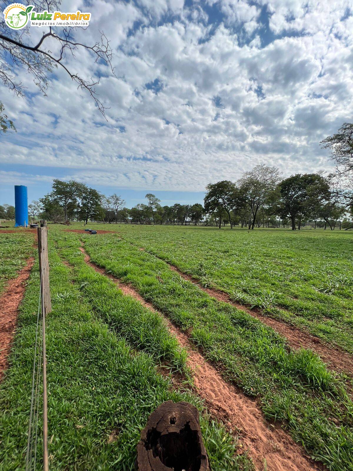 Fazenda à venda, 4880000m² - Foto 22