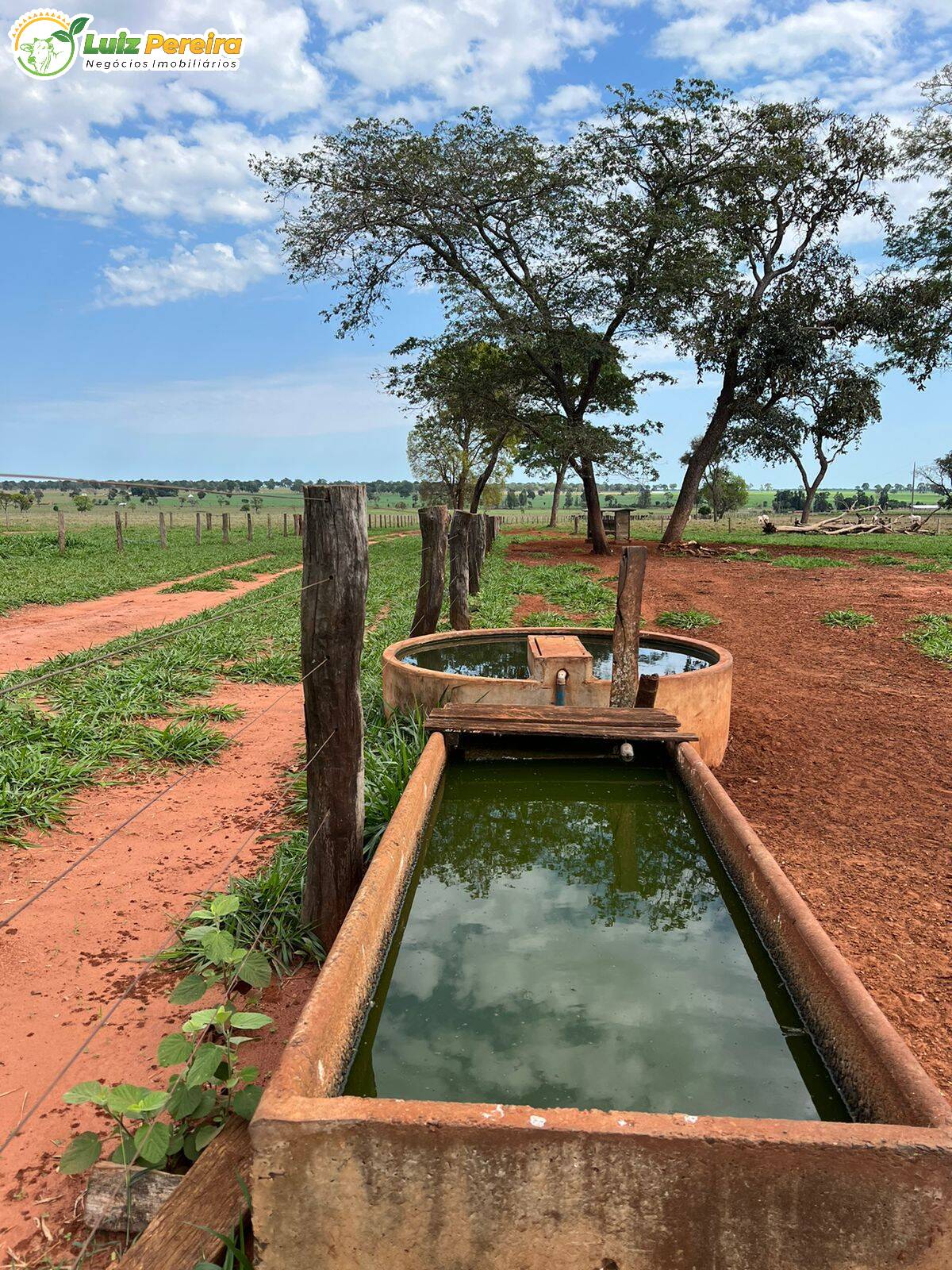 Fazenda à venda, 4880000m² - Foto 16