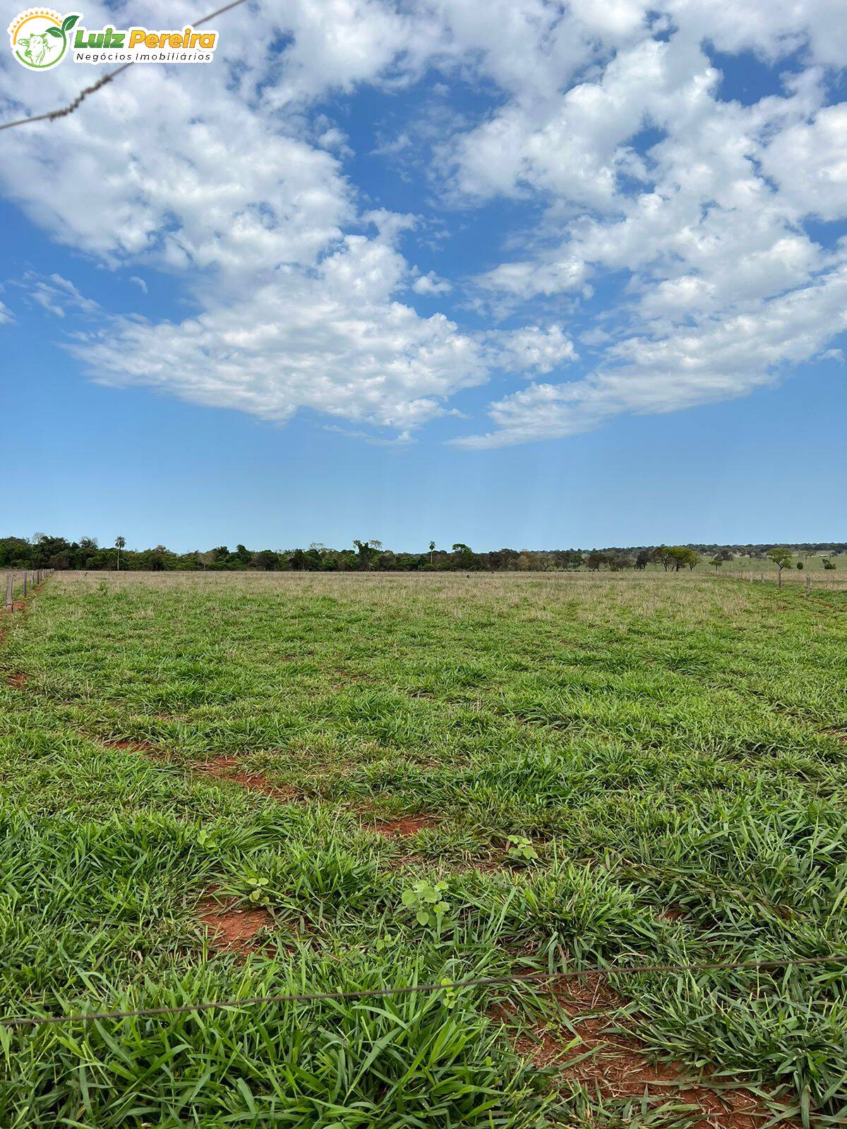 Fazenda à venda, 4880000m² - Foto 3