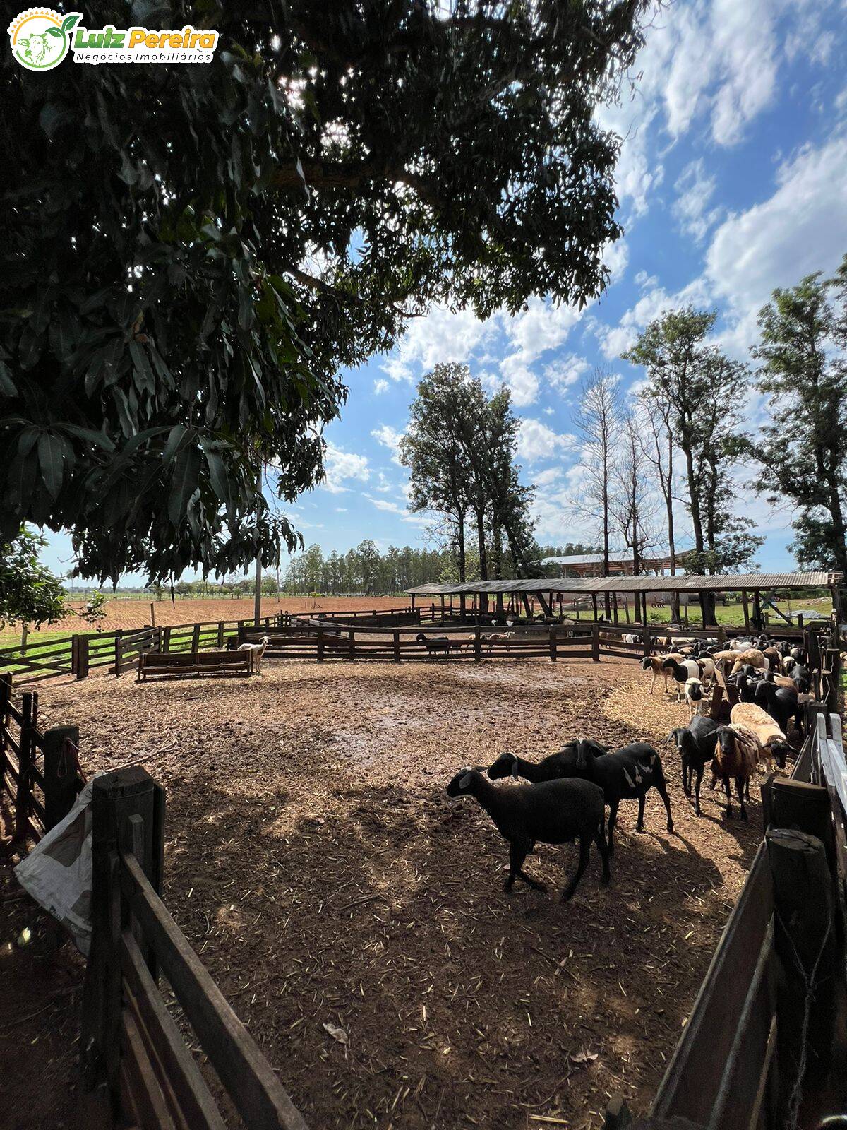 Fazenda à venda, 4880000m² - Foto 30